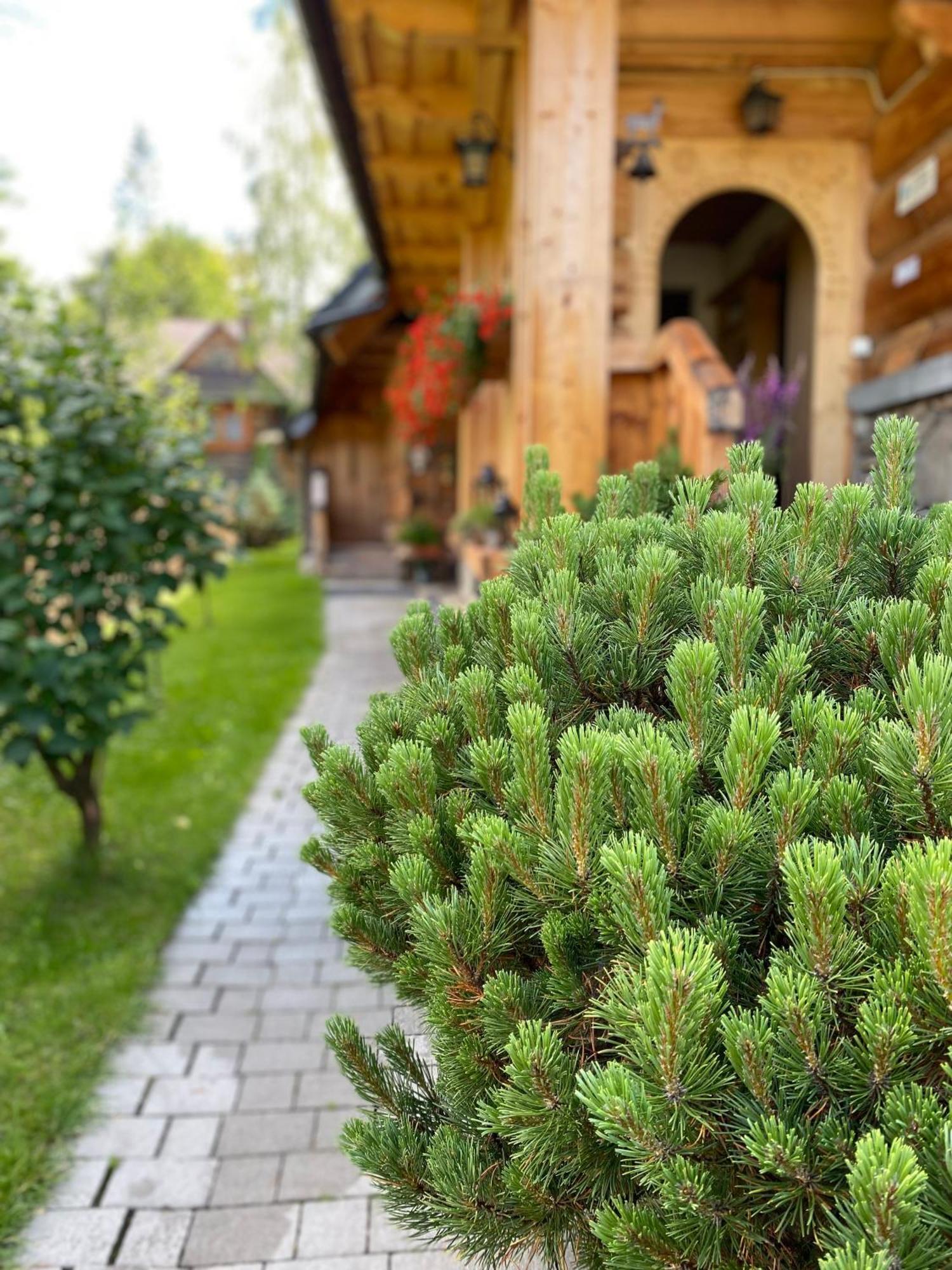 Apartamenty U Giewonta Zakopane Exteriér fotografie